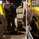 Image for article titled We Asked A NASCAR Rising Star How He'd Prefer His Dick Slammed In A Door